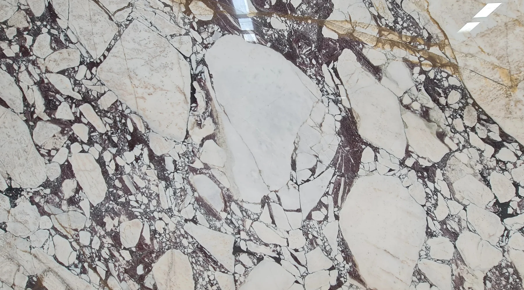 Calacatta Viola slab lot 03